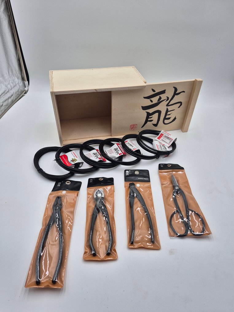 Kit di apprendimento Bonsai per principianti in Kiribako – Idea regalo di Natale - Altezza (albero): 0 cm - Profondità (albero): 0 cm - Giappone #1.0