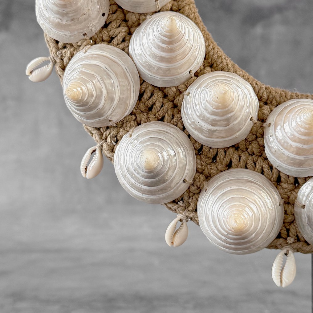 Decorative ornament - NO RESERVE PRICE - SN13 - Decorative shell necklace on a custom stand - Iatmul-style - Papua New Guinea #4.3