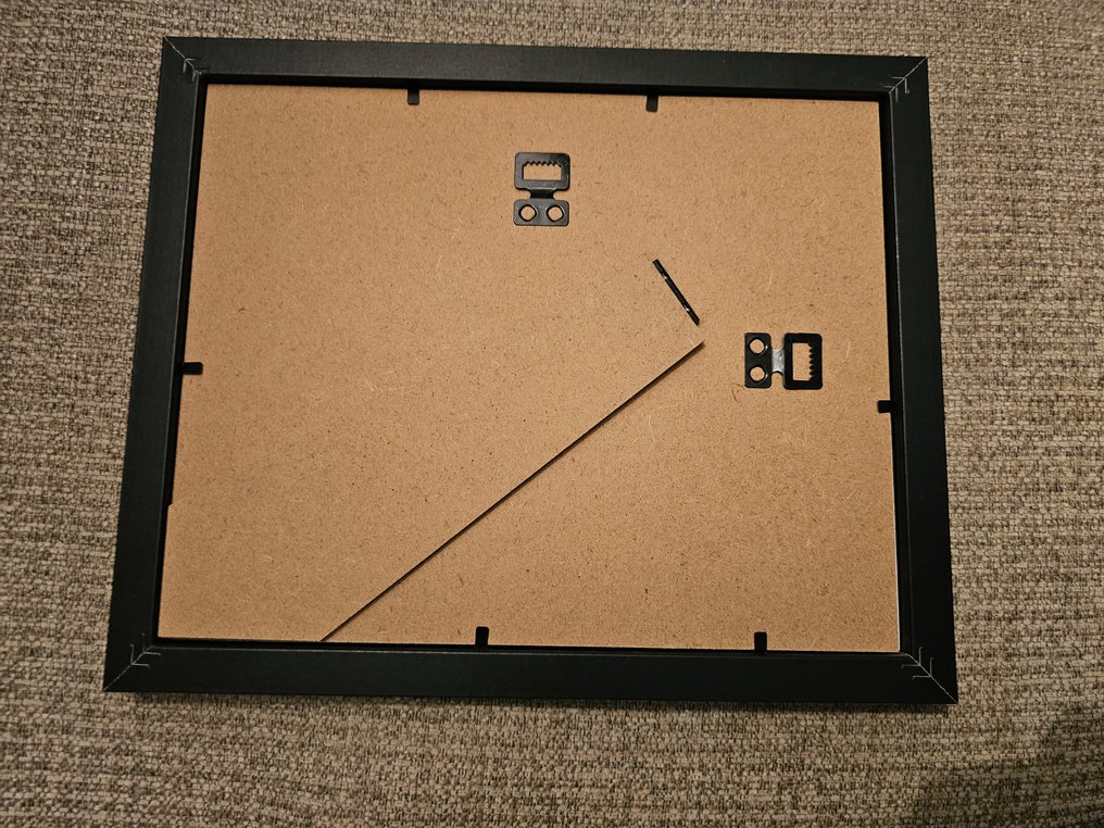 Disney - 1 Colour pencil drawing - Goofy - Goofy and frog pencil study #3.2