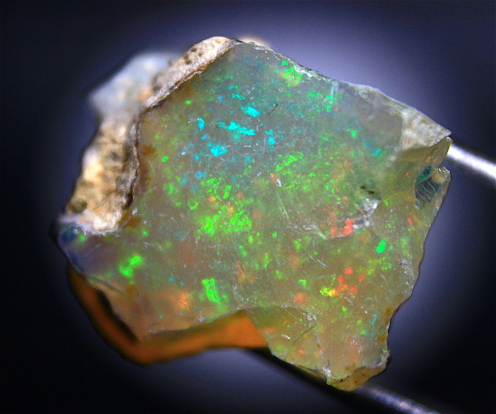 Carat 33.80 Ethiopian Opals - Rough- 6.76 g - (4) #3.2