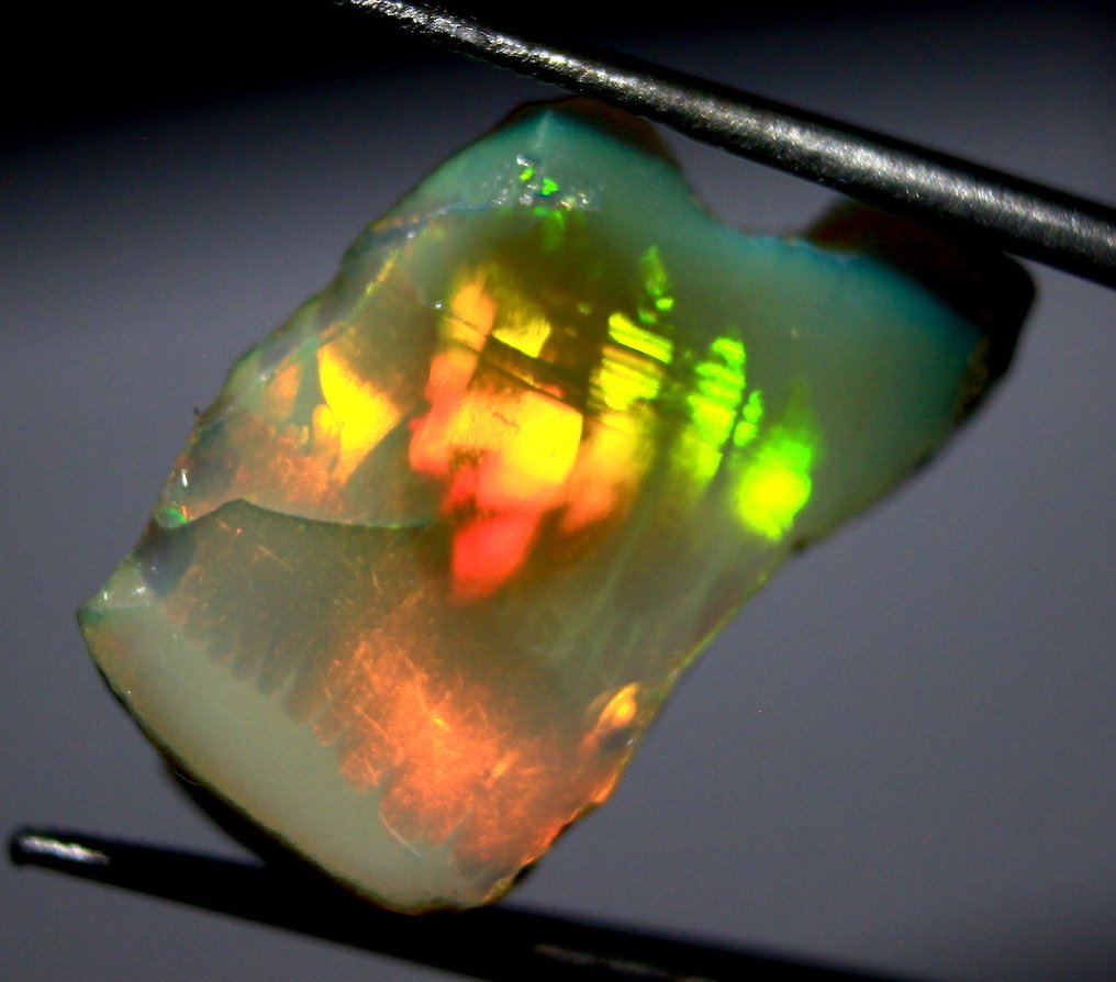 Ct. 44.40 埃塞俄比亚欧泊 - 粗糙- 8.88 g - (4) #1.0