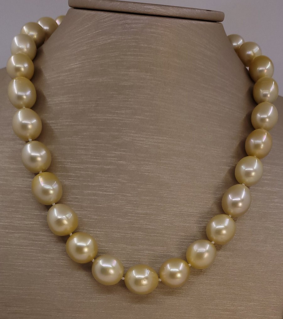 项链 - 14K包金 黄金, PSL 认证金色南海珍珠 - 11.1x13.5毫米 #4.3