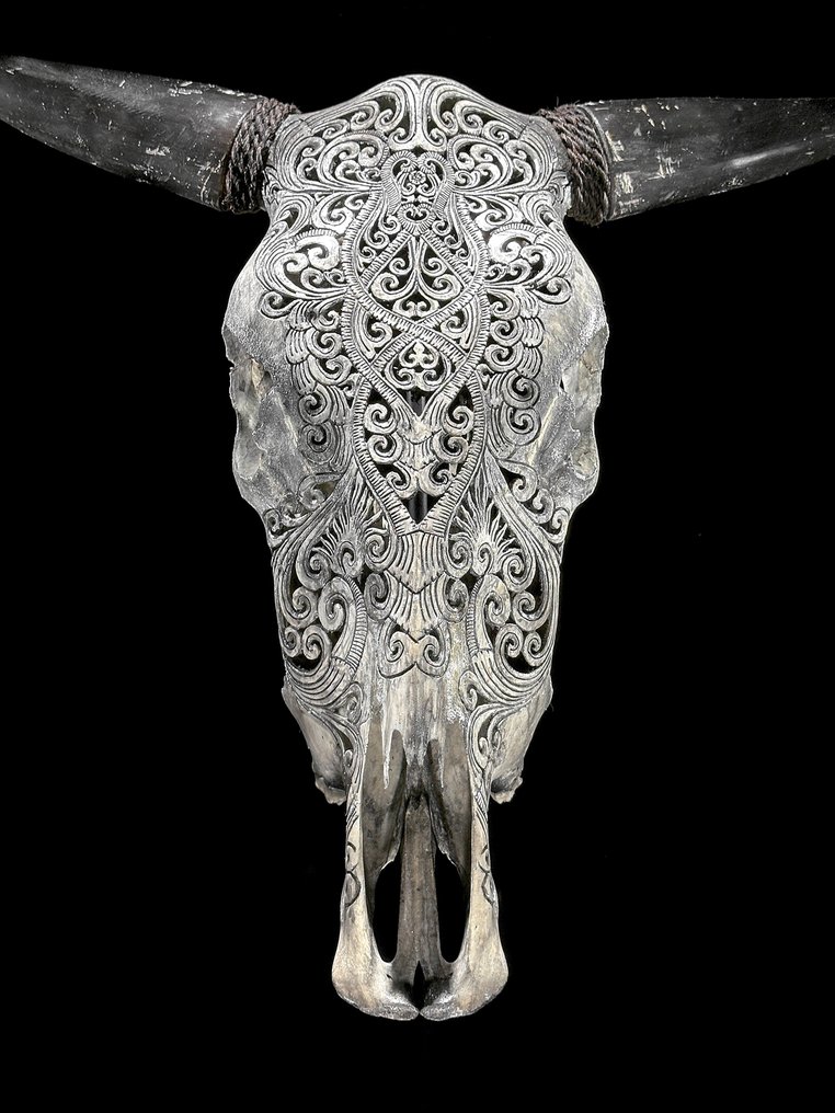 NO RESERVE PRICE - Authentic Large Grey Hand-Carved Bull Skull - Traditional Balinese Motif- Carved skull - Bos Taurus - 54 cm - 59 cm - 17 cm- Non-CITES species - (1) #1.0