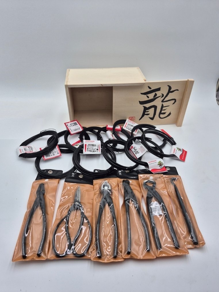 Kit di Apprendimento Bonsai per Intermedi in Kiribako – Idea Regalo di Natale - Altezza (albero): 0 cm - Profondità (albero): 0 cm - Giappone #1.0