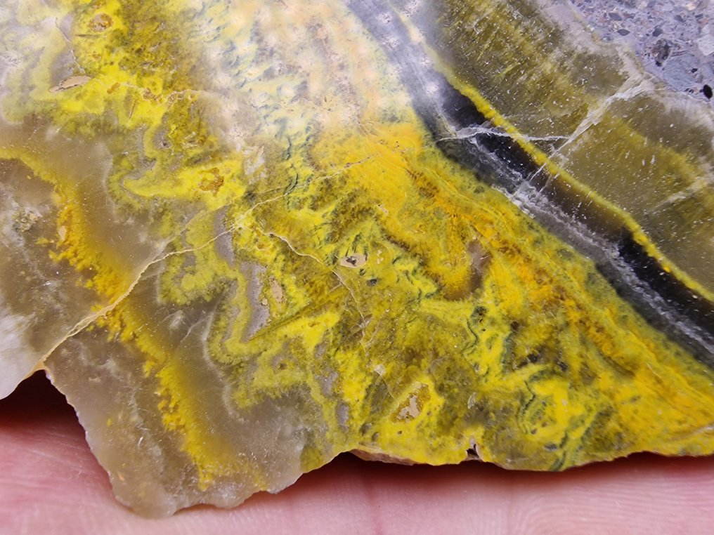 Bumblebee jasper Slice - Height: 145 mm - Width: 90 mm- 245 g - (1) #2.1