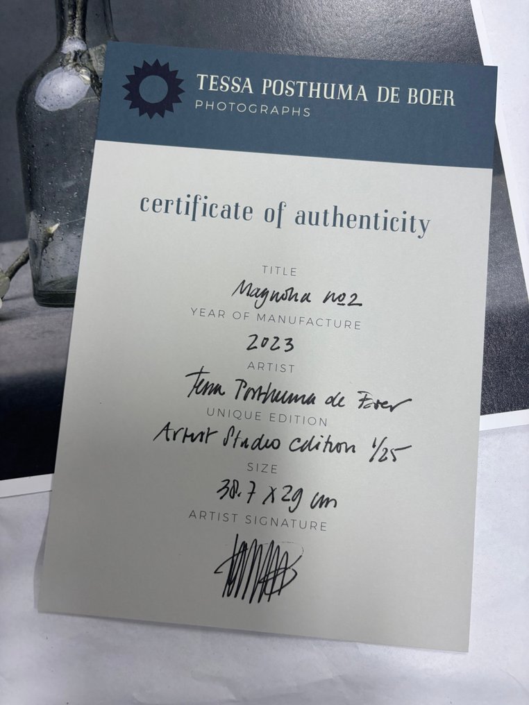 Tessa Posthuma de Boer - Magnolia no.2 #1.0