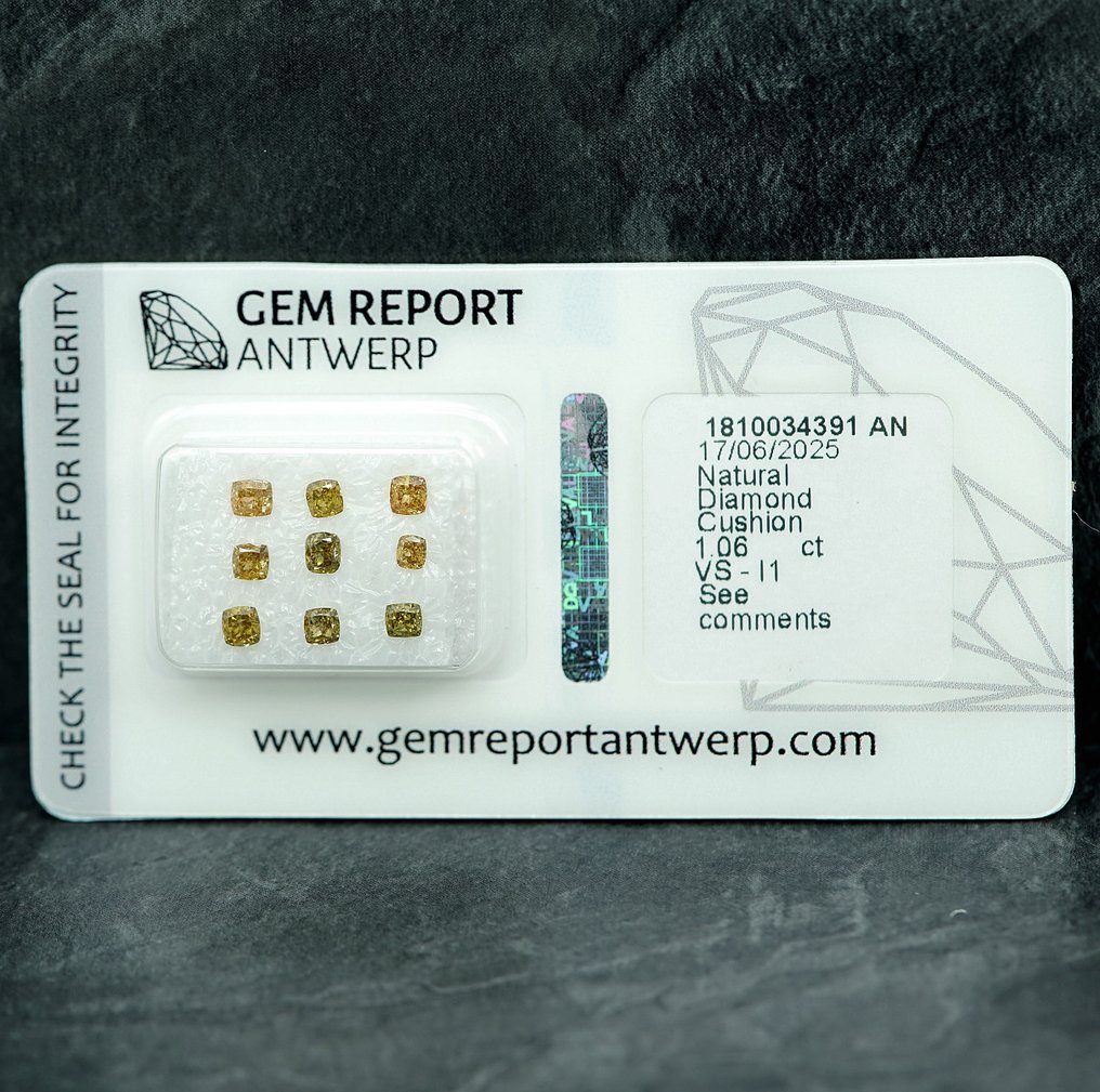 9 pcs Diamant  (Natur)  - 1.06 ct - Pude - VS1, I1 - Gem Report Antwerp (GRA) #1.0