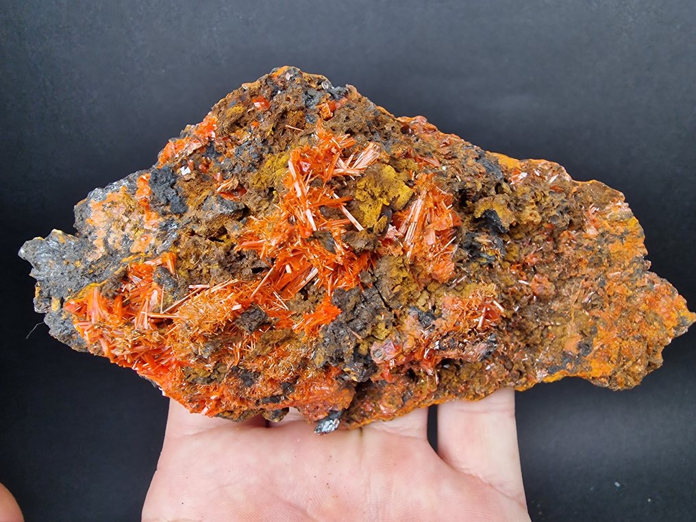Crocoite Top quality color - Height: 145 mm - Width: 80 mm- 442 g - (1) #1.0