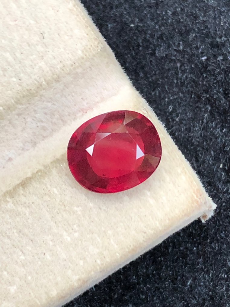 没有保留价 - 1 pcs  红色 石榴石  - 3.39 ct - 国际宝石研究院（IGI） #3.2