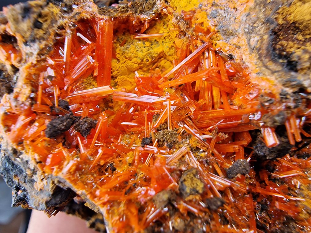 Crocoite Top quality color - Height: 90 mm - Width: 55 mm- 278 g - (1) #1.0