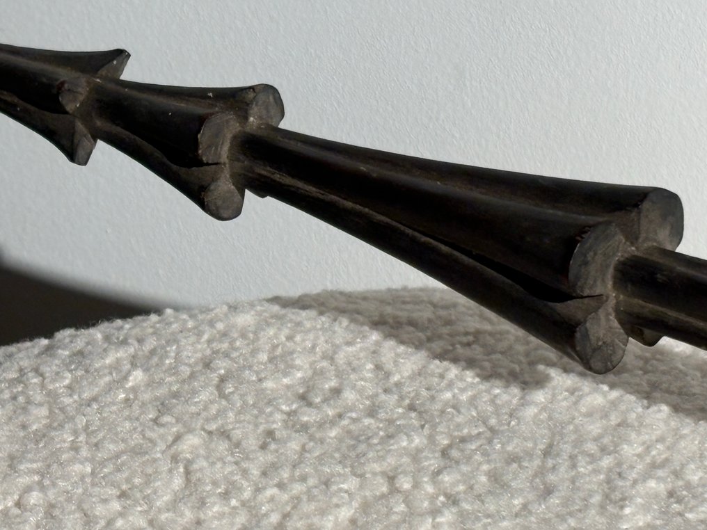 lancia da guerra - Fiji #3.2