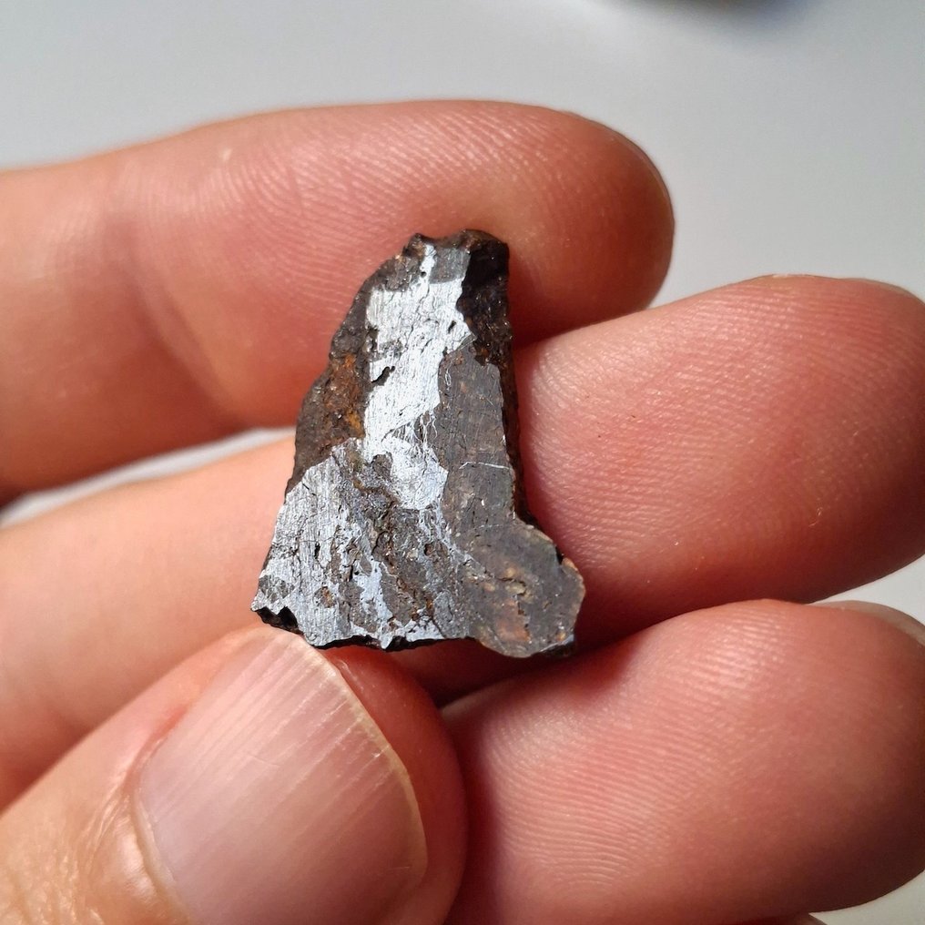 NWA 7853 帕拉斯陨石。切片 - 1.3 g #4.3