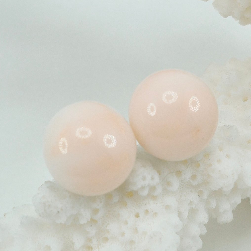 珊瑚 - 银 - 耳环 - 粉色珊瑚 #1.0