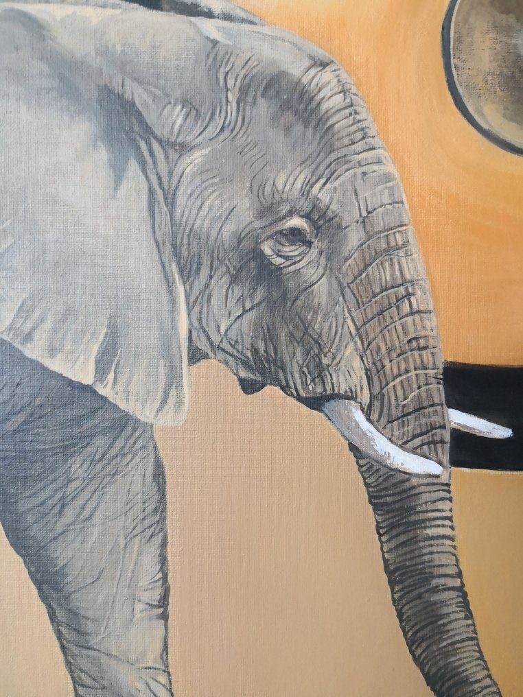 Donatella Ramazzotti - Vibration 1 #2.1