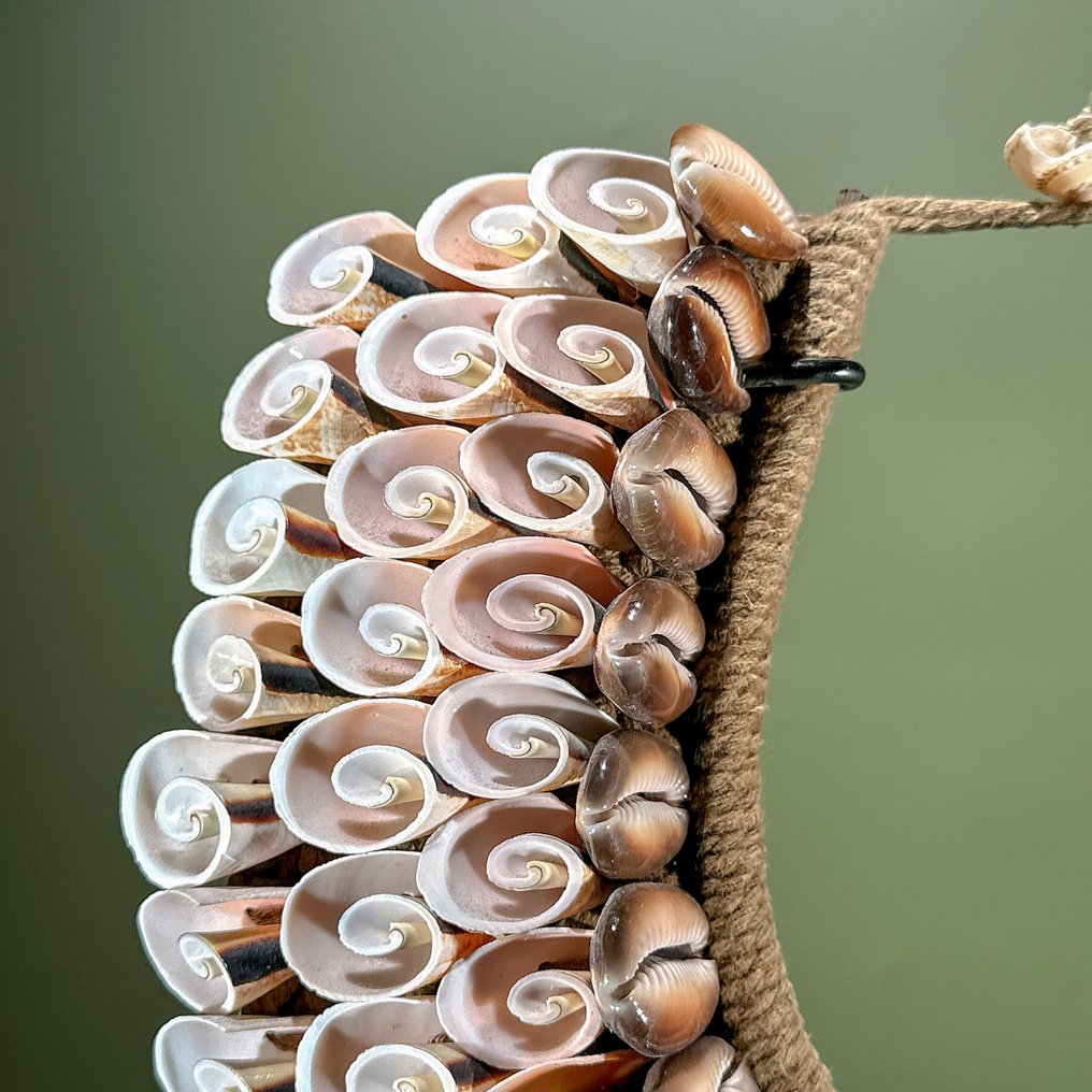 装饰饰品 - NO RESERVE PRICE - SN6 - Stunning Decorative Shell Necklace on a custom stand - 巴布亚新几内亚 #4.3