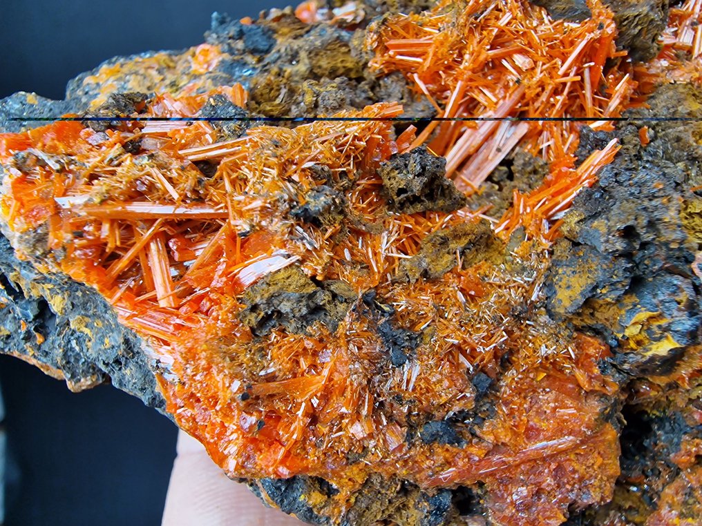 Crocoite Top quality color - Height: 145 mm - Width: 80 mm- 442 g - (1) #2.1