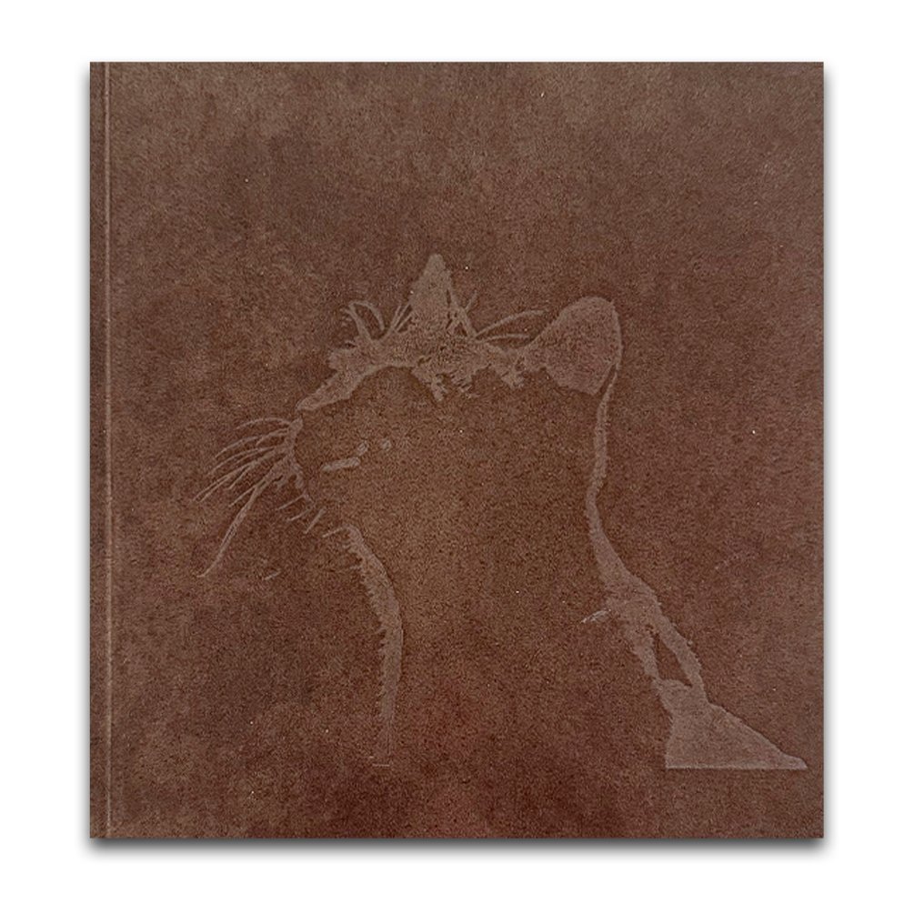 Masahisa Fukase - Afterword - 2016 #1.0