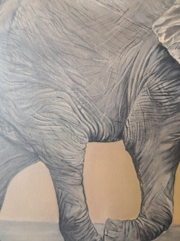 Donatella Ramazzotti - Vibration 1 #1.0