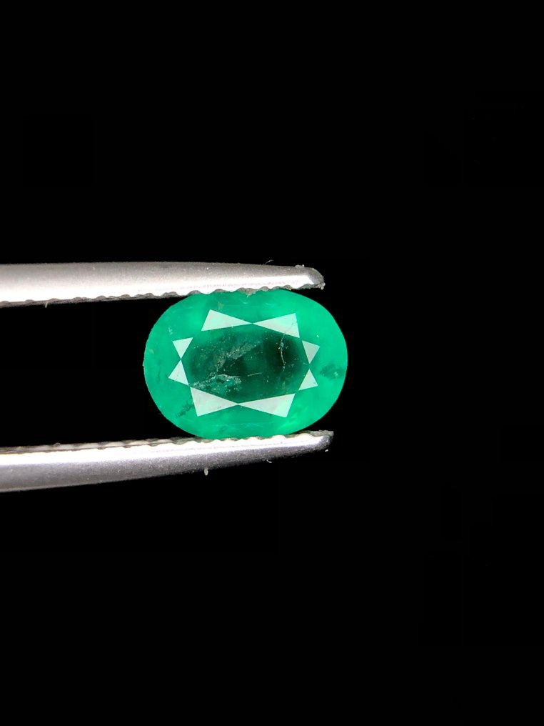 没有保留价 - 1 pcs  绿色 混合宝石  - 0.81 ct - 国际有色宝石协会（ICA GemLab） - 天然的 Hauyne #3.2