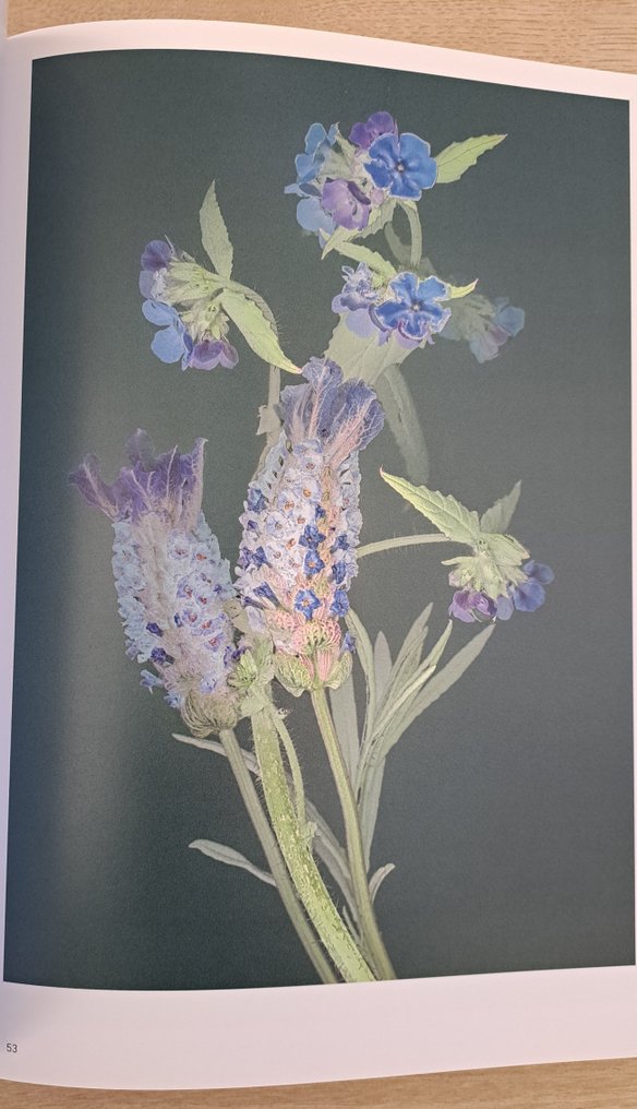 Danielle Kwaaitaal - Florilegium plus extra - 2021 #4.3