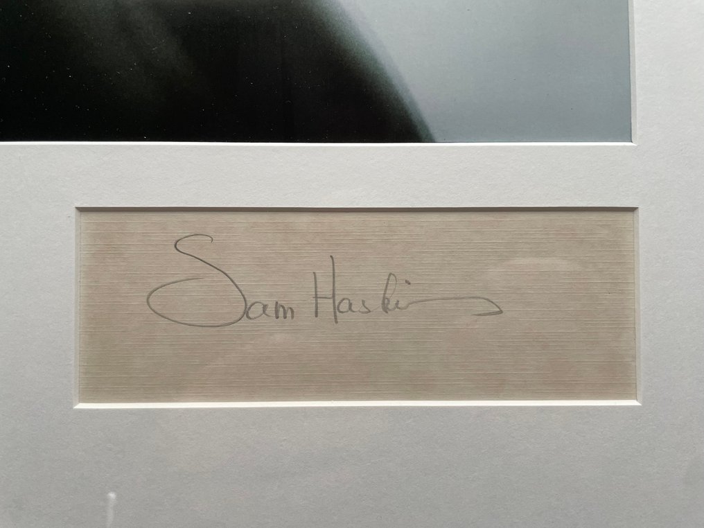 Sam Haskins - Geen titel bekend #3.2