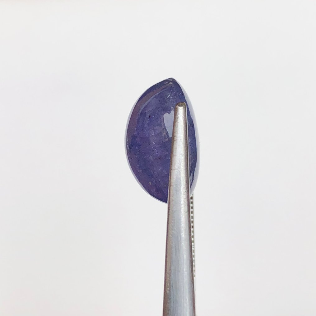没有保留价 - 1 pcs  蓝色, 紫罗兰色 坦桑石  - 8.62 ct - 国际宝石研究院（IGI） #1.0