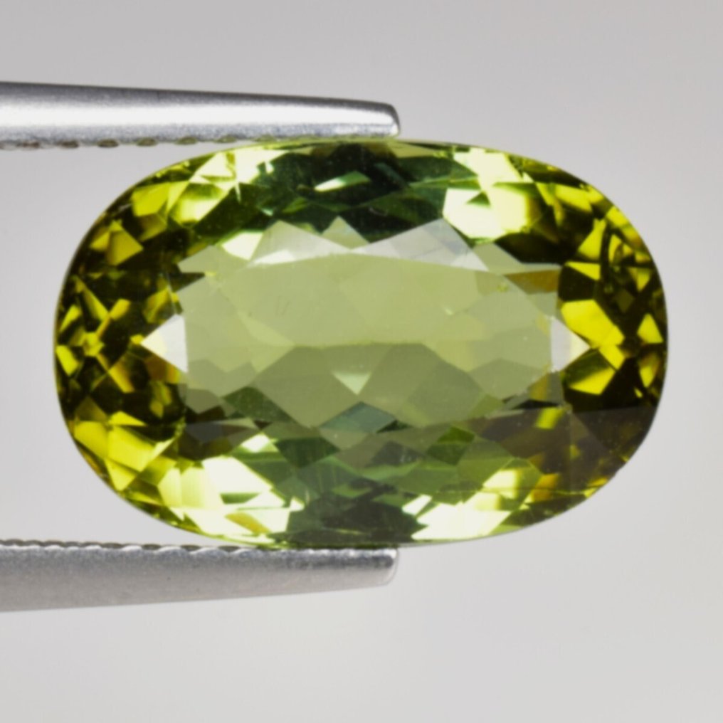 1 pcs  绿色, 黄色 电气石  - 6.81 ct - 国际有色宝石协会（ICA GemLab） #1.0