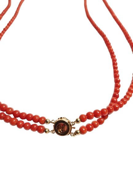 吊坠项链 - 14K包金 黄金 血珊瑚 - 血珊瑚 #4.3