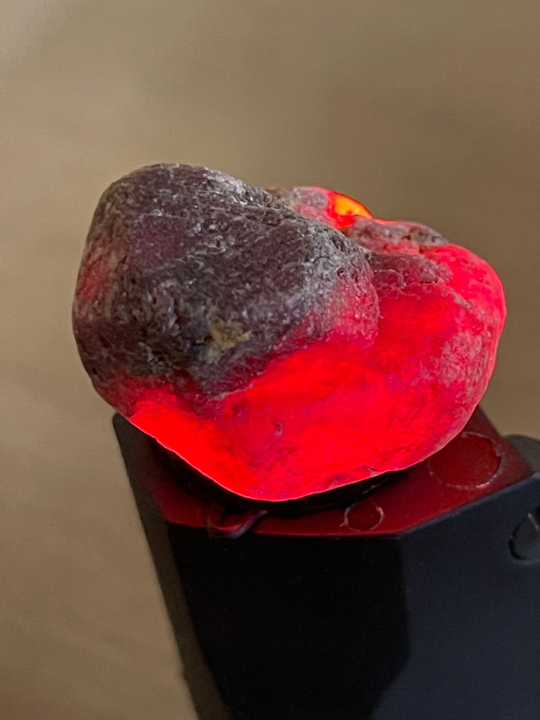 Ruby 真正的宝石！令人惊叹的109.5克拉莫桑比克巨大血红宝石。宏伟的水晶。天然，100%特别。 - 高度: 30 mm - 闊度: 25 mm- 21.9 g #1.0