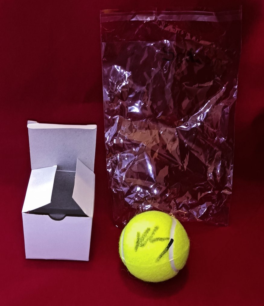 Τελικοί ATP 2025 - Joe Salisbury - 2025 - Μπαλάκι του τένις #1.0