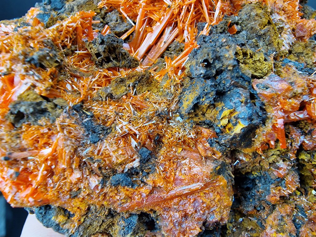 Crocoite Top quality color - Height: 145 mm - Width: 80 mm- 442 g - (1) #4.3