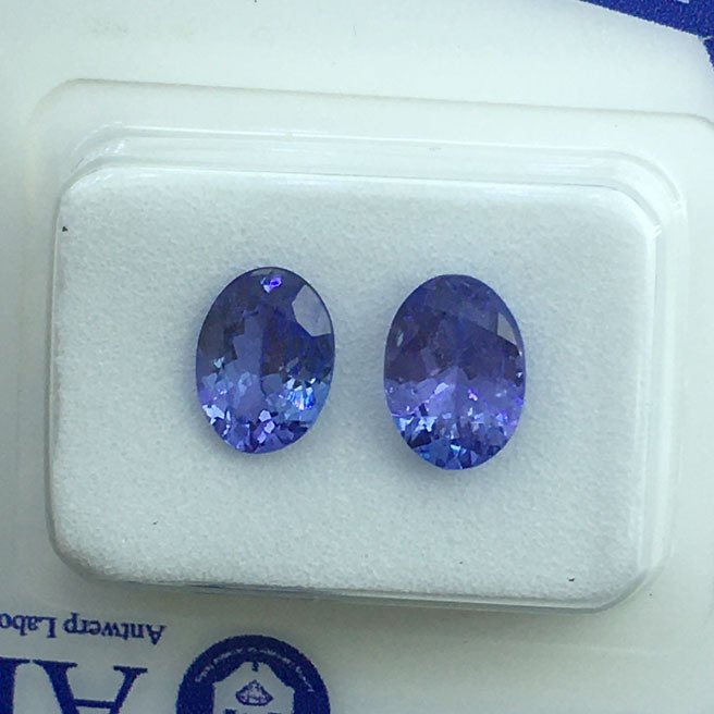 沒有保留價 - 2 pcs 藍色 坦桑石 - 1.72 ct - Antwerp Laboratory for Gemstone Testing (ALGT) - 7x5 毫米 椭圆切割 Tanzanite #2.1