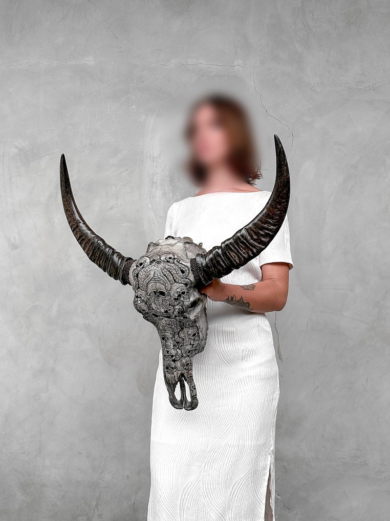 无底价 - C - 大型灰色雕刻水牛头骨 - 人类头骨与章鱼图案 雕刻的颅骨 - Bubalus Bubalis - 71 cm - 69 cm - 18 cm- 非《濒危物种公约》物种 -  (1) #3.2