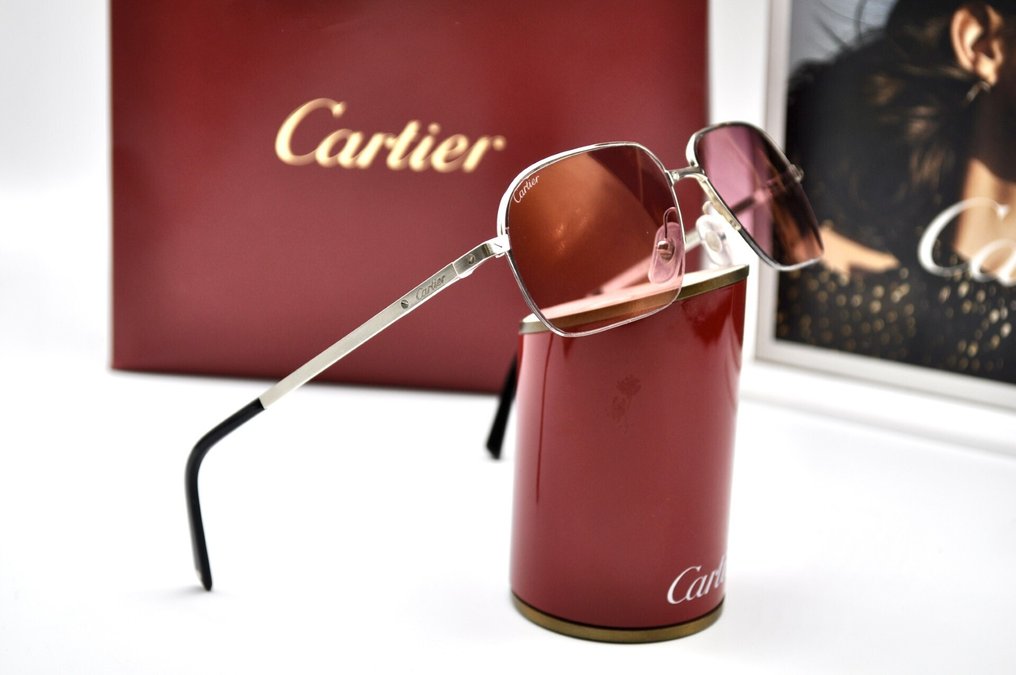 Cartier - 太阳镜 #1.0