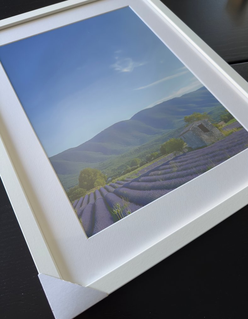 Fabio Accorrà - The colors of Provence #3.2