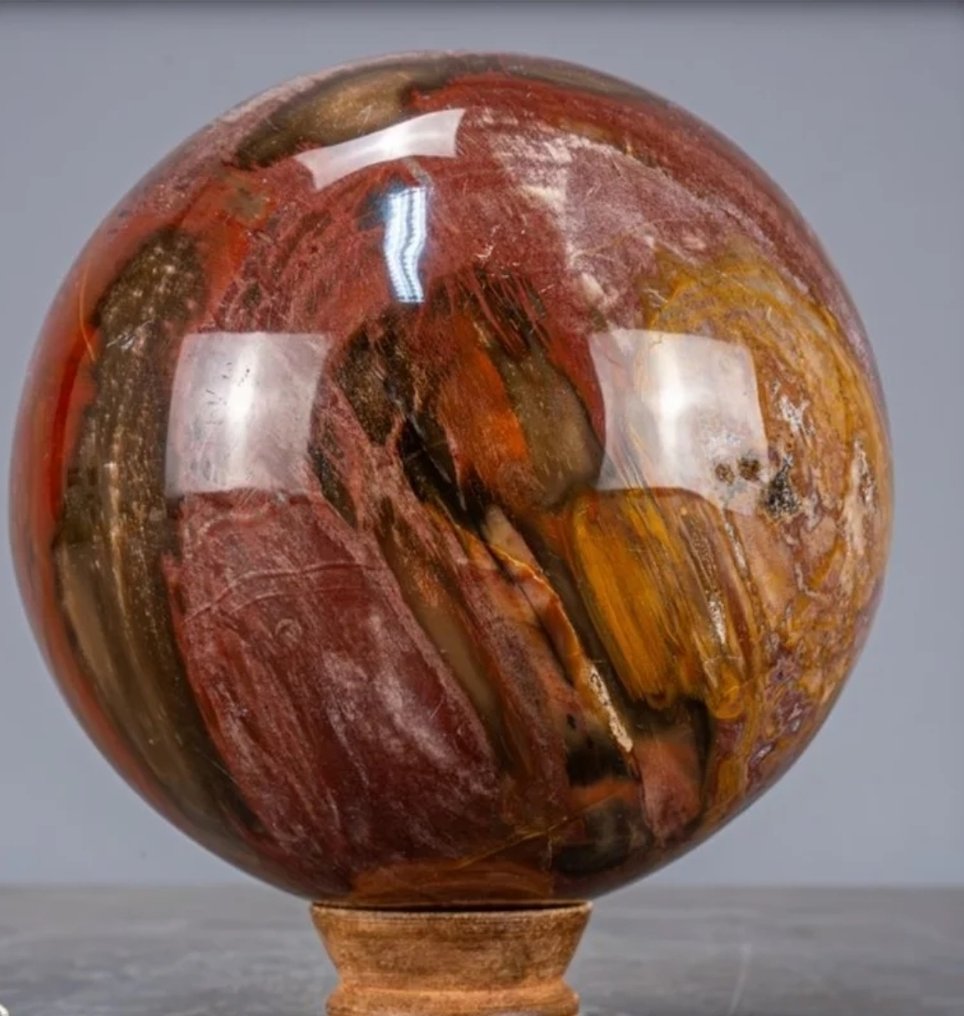 Petrified wood Sphere - Height: 137 mm - Width: 137 mm- 3103 g #2.1