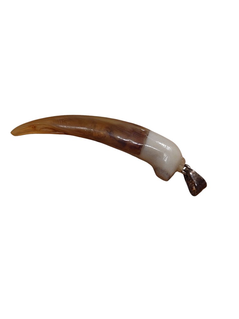 foca, renna, argento Artiglio - Seal - 50 mm - 0 mm - 0 mm #2.1