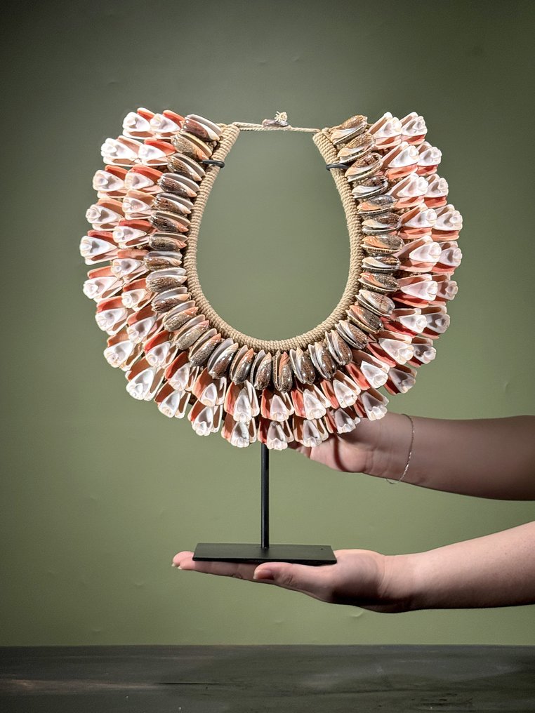 装饰饰品 - NO RESERVE PRICE - SN14 - Stunning Shell Necklace on a custom stand - 巴布亚新几内亚 #1.0