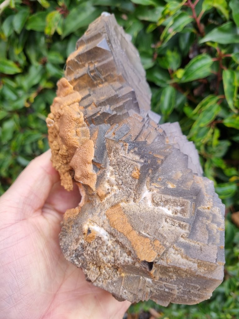 XXL High Quality Grey Fluorite - Height: 205 mm - Width: 110 mm- 2058 g #3.2