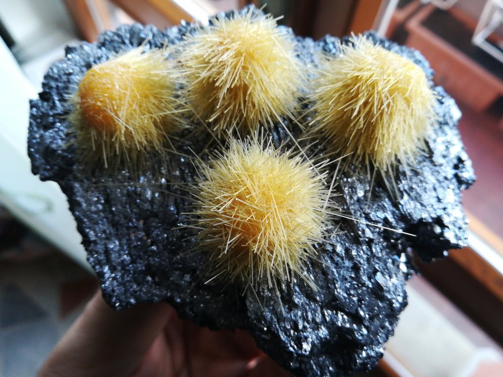 Acicular Yellow Magnesium Crystals on matrix - Height: 11 cm - Width: 9 cm- 437 g #1.0