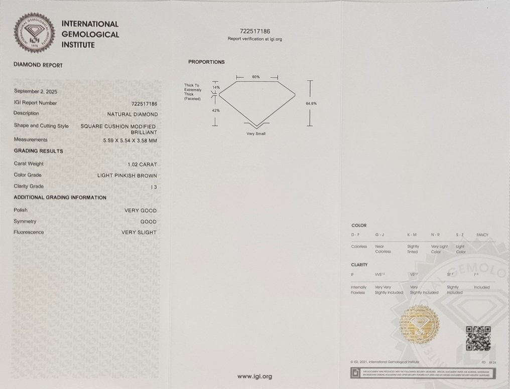 Nincs minimálár - 1 pcs Gyémánt (Természetes színű) - 1.02 ct - Párna - Light Rózsaszínes Barna - I3 - Nemzetközi Gemmológiai Intézet (IGI) #4.3