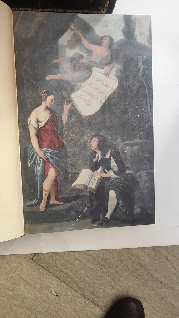 Franciscus de Geest - Hortus Amoenissimus - 2011 #3.2