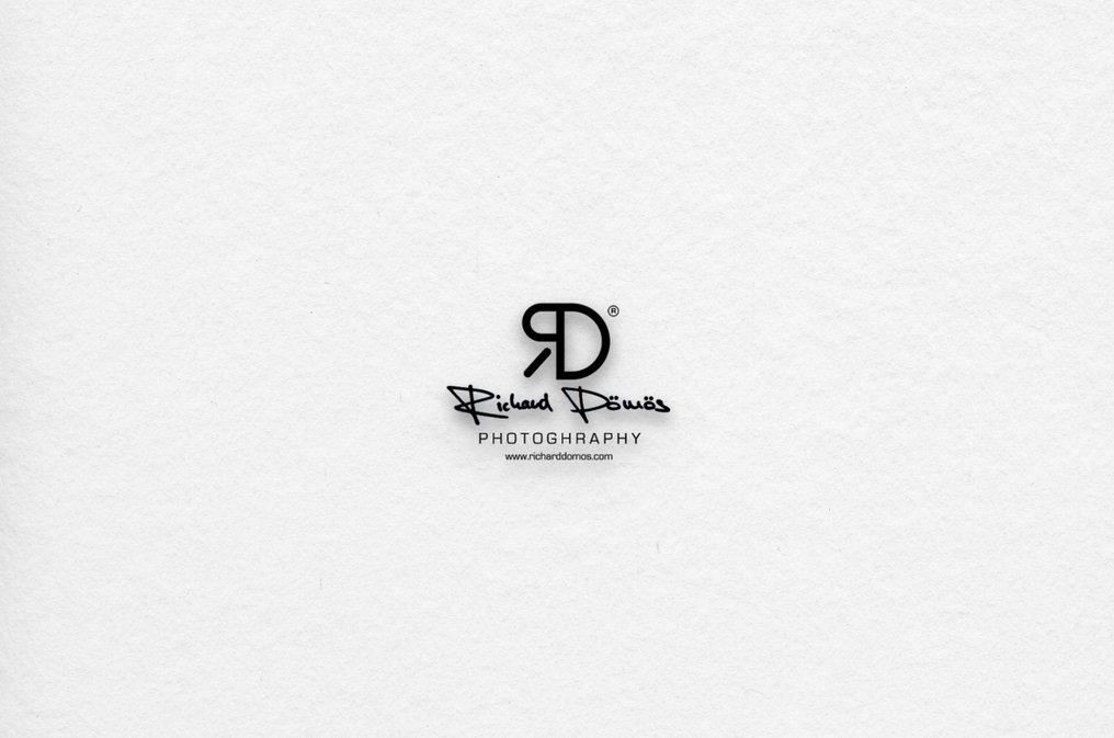 Richard Dömös - Bound Silence #4.3