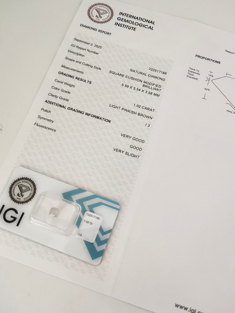 Nincs minimálár - 1 pcs Gyémánt (Természetes színű) - 1.02 ct - Párna - Light Rózsaszínes Barna - I3 - Nemzetközi Gemmológiai Intézet (IGI) #3.2