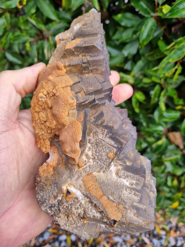 XXL High Quality Grey Fluorite - Height: 205 mm - Width: 110 mm- 2058 g #4.3