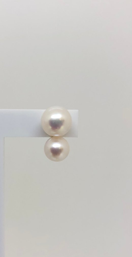 耳环 淡水圆形珍珠 - 18K黄金 #3.2