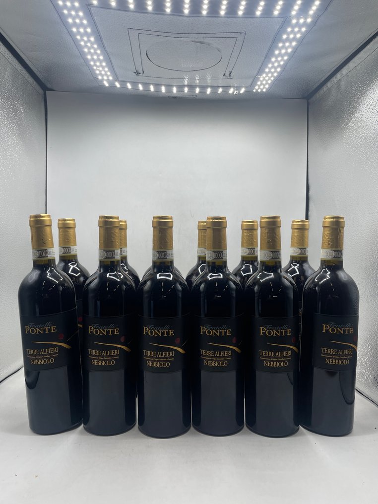 2023 Fratelli Ponte Terre Alfieri Nebbiolo - Piemont DOCG - 12 Bottles (0.75L) #1.0