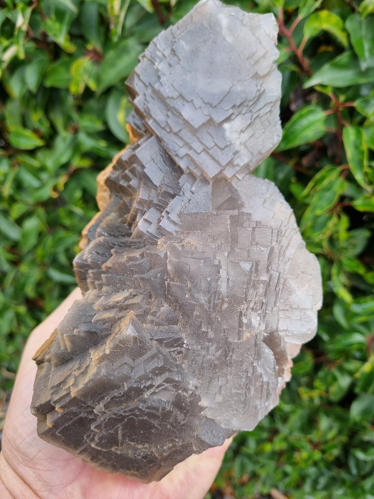 XXL High Quality Grey Fluorite - Height: 205 mm - Width: 110 mm- 2058 g #1.0