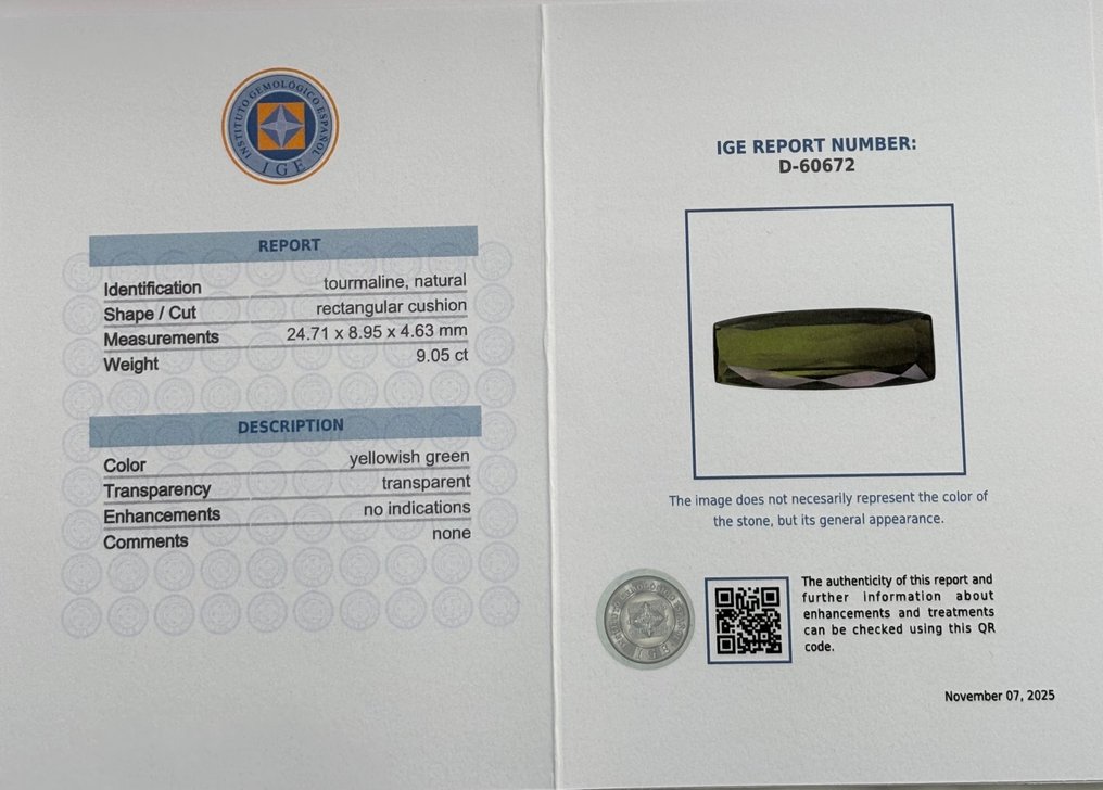 1 pcs  Green Tourmaline  - 9.05 ct - Instituto Gemólogico Español (IGE) #2.1