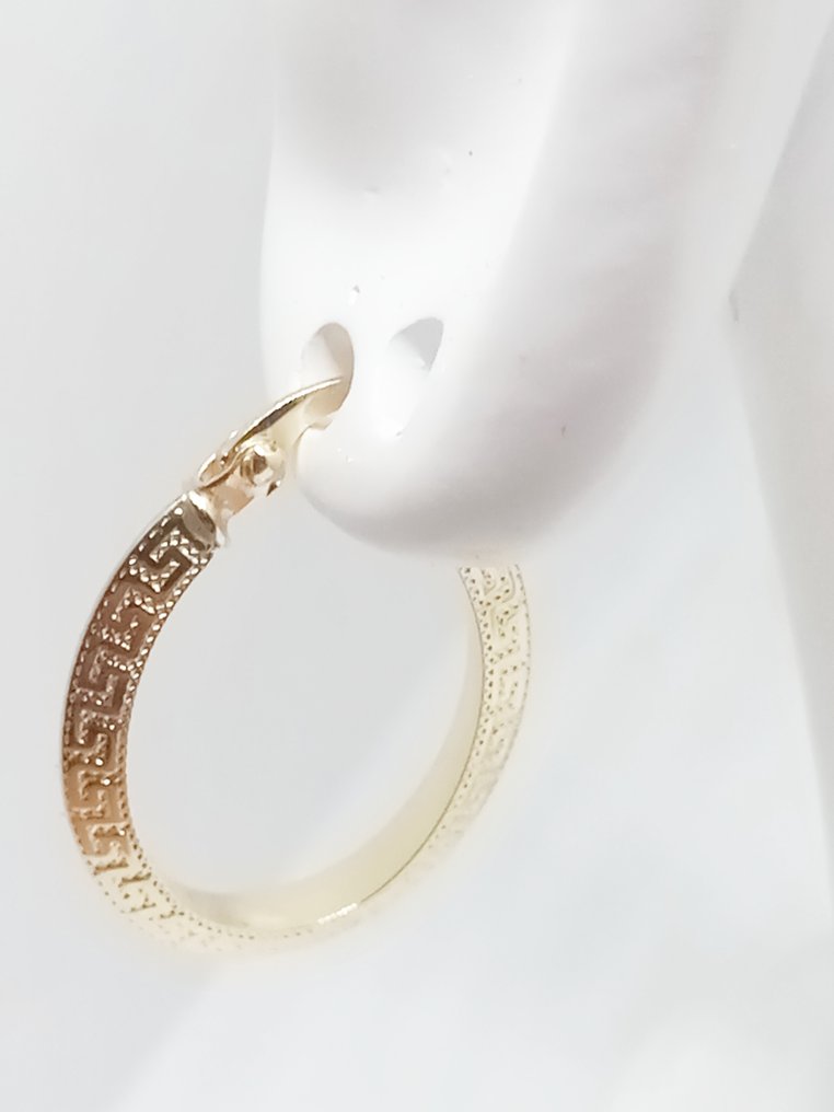 No reserve price - Earrings - 18 kt. Yellow gold #2.1